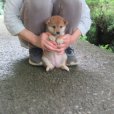 画像6: No.5　商談中です。〜(^^♪