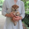 画像5: No.5　商談中です。〜(^^♪