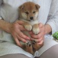 画像3: No.5　商談中です。〜(^^♪