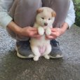 画像4: No.3　只今準備中〜。〜(^^♪ (4)