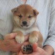 画像2: No.5　商談中です。〜(^^♪
