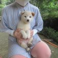 画像5: No.1　只今準備です〜 (5)