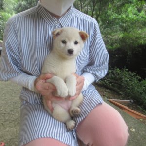 画像5: No.1　只今準備です〜