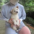 画像4: No.1　只今準備です〜 (4)