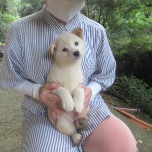画像4: No.1　只今準備です〜