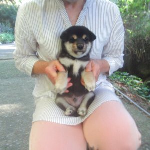 画像4: No3.　只今商談中です(^^♪