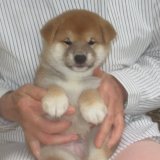 No.2　小柴サイスです。(^^♪