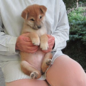 画像4: No.2　可愛い女の子です。(^^♪