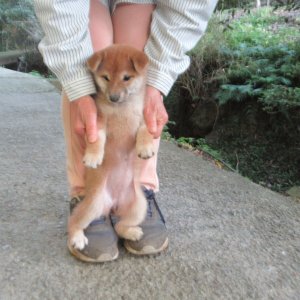 画像3: No.2　可愛い女の子です。(^^♪