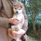 No.1　可愛い女の子です。(^^♪