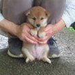 画像4: No.5　商談中です。〜(^^♪