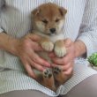 画像3: No.5　商談中です。〜(^^♪