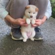 画像4: No.3　只今準備中〜。〜(^^♪