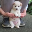 画像3: No.4　只今商談中です〜(^^♪