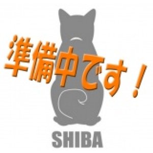 画像: No.5　商談中です。〜(^^♪